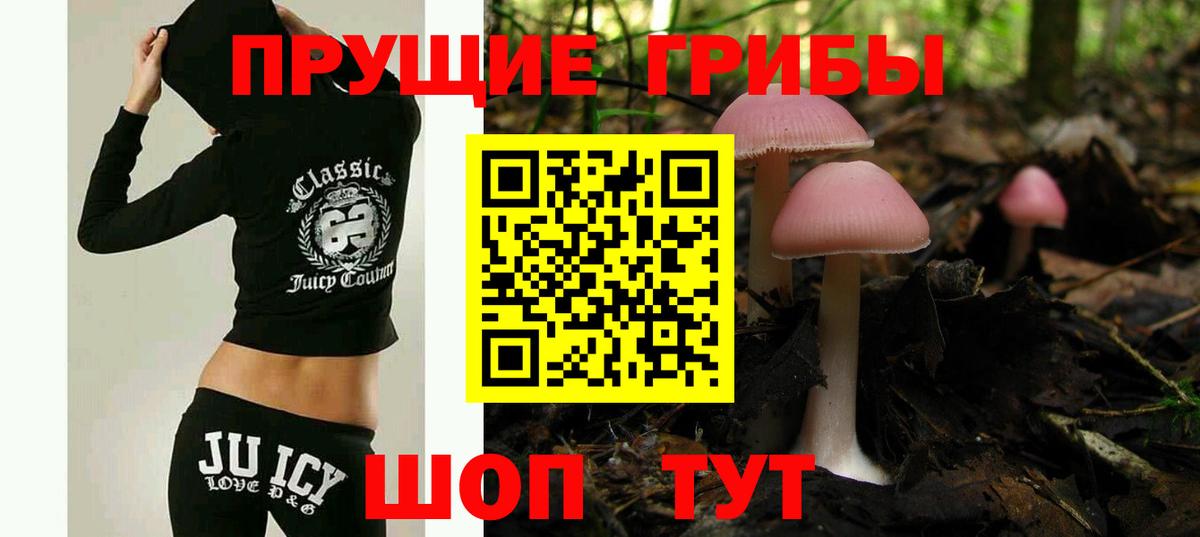 Псилоцибиновые грибы Psilocybine cubensis Хабаровск