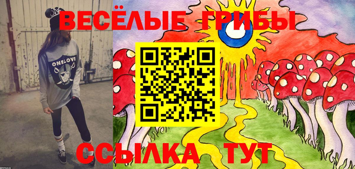 Псилоцибиновые грибы мицелий  Псилоцибиновые грибы мухоморы  что такое наркотик  Вход с VPN  Хабаровск 